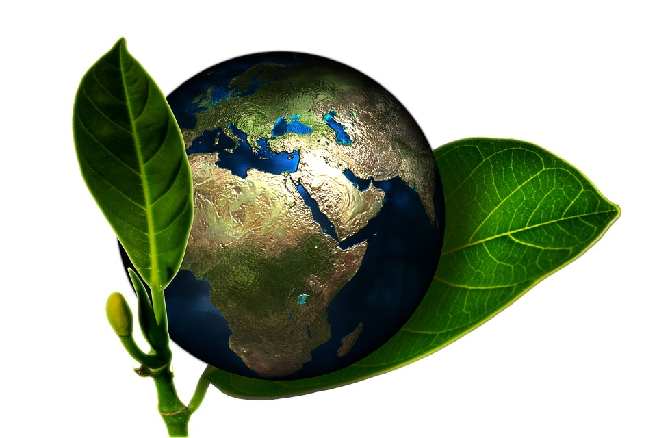 Rette die Welt ... zumindest ein bisschen